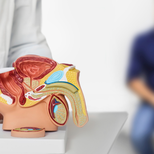 seks po raku prostaty - jak się zmienia?